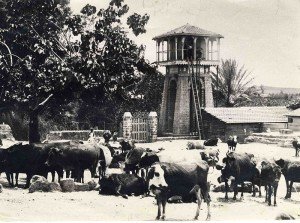 Rishon Lezion water tower Rishon Lezion water tower 300x223 Israeli Cities Central Israel – Rishon Lezion